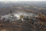 Picture taken with drone of fire in legal reserve area and pastures - Neves Paulista city - Sao Paulo state (SP) - Brazil