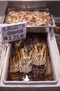 Lobsters and shrimp for sale at the Rio Vermelho Market (Ceasinha) - Salvador city - Bahia state (BA) - Brazil