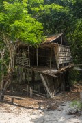 Abandoned wooden house in the Amazon rainforest - Manaus city - Amazonas state (AM) - Brazil