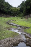 Dry creek near the small riverine community - Anavilhanas National Park - Manaus city - Amazonas state (AM) - Brazil