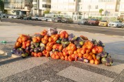 Coconuts for sale on Atlantica Avenue kiosks - Rio de Janeiro city - Rio de Janeiro state (RJ) - Brazil