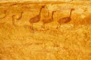 Detail of rupestrian painting - Serra da Capivara National Park - Sao Raimundo Nonato city - Piaui state (PI) - Brazil