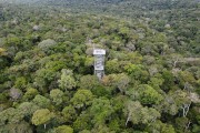 Picture taken with drone of the observation tower of the Amazon Museum (MUSA) - Manaus city - Amazonas state (AM) - Brazil