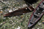 Trash accumulated on the banks of Negro River - Manaus city - Amazonas state (AM) - Brazil