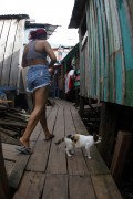 Houses on Stilts - Manaus city - Amazonas state (AM) - Brazil