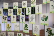 Interior of the Botanical Garden Museum - Rio de Janeiro city - Rio de Janeiro state (RJ) - Brazil