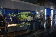 Interior of the Botanical Garden Museum - Rio de Janeiro city - Rio de Janeiro state (RJ) - Brazil