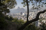 Sugarloaf Mountain seen from the Pedrao Viewpoint - Rio de Janeiro city - Rio de Janeiro state (RJ) - Brazil