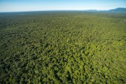 Picture taken with drone of Atlantic Rainforest in Palmito State Park - Paranagua city - Parana state (PR) - Brazil