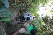 Tourists on trail to Morro Dois Irmaos (Two Brothers Mountain) - Rio de Janeiro city - Rio de Janeiro state (RJ) - Brazil
