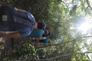 Tourists on trail to Morro Dois Irmaos (Two Brothers Mountain) - Rio de Janeiro city - Rio de Janeiro state (RJ) - Brazil