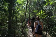 Tourists on trail to Morro Dois Irmaos (Two Brothers Mountain) - Rio de Janeiro city - Rio de Janeiro state (RJ) - Brazil