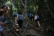 Tourists on trail to Morro Dois Irmaos (Two Brothers Mountain) - Rio de Janeiro city - Rio de Janeiro state (RJ) - Brazil