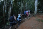 Tourists on trail to Morro Dois Irmaos (Two Brothers Mountain) - Rio de Janeiro city - Rio de Janeiro state (RJ) - Brazil