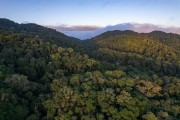 Picture taken with drone of Lauraceas State Park - Adrianopolis city - Parana state (PR) - Brazil