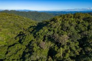Picture taken with drone of Lauraceas State Park - Adrianopolis city - Parana state (PR) - Brazil