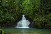Larguinho Waterfall - Lauraceas State Park - Adrianopolis city - Parana state (PR) - Brazil