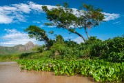 View of Paraguai River with Serra do Amolar in the background - Corumba city - Mato Grosso do Sul state (MS) - Brazil