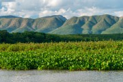 View of Paraguai River with Serra do Amolar in the background - Corumba city - Mato Grosso do Sul state (MS) - Brazil