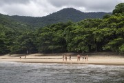 Tourists at Parnaioca Beach - Angra dos Reis city - Rio de Janeiro state (RJ) - Brazil