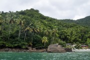 Coconut trees on Aventureiro Beach - Angra dos Reis city - Rio de Janeiro state (RJ) - Brazil