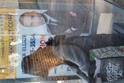 Passenger at a bus stop in Long Island City - Long Island city - New York - United States of America