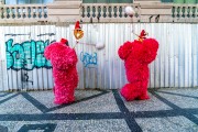 Bate-bolas (beats-ball) of Turma King lord during the original Reveler Contest - Cinelandia - Rio de Janeiro city - Rio de Janeiro state (RJ) - Brazil