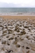 Rocky corals at Moreira Beach - Prado city - Bahia state (BA) - Brazil