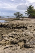 Rocky corals at Moreira Beach - Prado city - Bahia state (BA) - Brazil