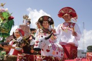 Allegories of the Bumbas oxen Caprichoso and Garantido in the city of Parintins - Parintins city - Amazonas state (AM) - Brazil