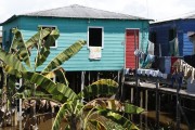 Stilt house on the banks of the Solimoes River - Careiro da Varzea city - Amazonas state (AM) - Brazil