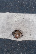 Hole in pedestrian crossing - Corner of Raul Pompeia and Francisco Otaviano streets - Rio de Janeiro city - Rio de Janeiro state (RJ) - Brazil