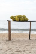 Coconuts for sale on Copacabana Beach kiosks - Rio de Janeiro city - Rio de Janeiro state (RJ) - Brazil