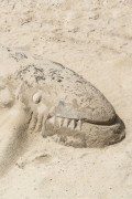 Sand sculpture - Copacabana Beach - Rio de Janeiro city - Rio de Janeiro state (RJ) - Brazil