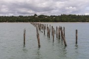 Wooden piles from the old pier at Ponta do Corumbau - Prado city - Bahia state (BA) - Brazil
