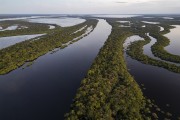 Picture taken with drone of river islands - Anavilhanas National Park  - Novo Airao city - Amazonas state (AM) - Brazil