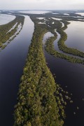 Picture taken with drone of river islands - Anavilhanas National Park  - Novo Airao city - Amazonas state (AM) - Brazil