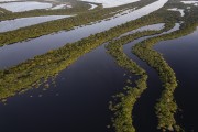 Picture taken with drone of river islands - Anavilhanas National Park  - Novo Airao city - Amazonas state (AM) - Brazil