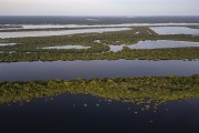 Picture taken with drone of river islands - Anavilhanas National Park  - Novo Airao city - Amazonas state (AM) - Brazil