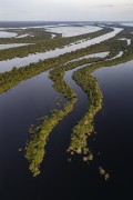 Picture taken with drone of river islands - Anavilhanas National Park  - Novo Airao city - Amazonas state (AM) - Brazil