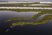 Picture taken with drone of river islands - Anavilhanas National Park  - Novo Airao city - Amazonas state (AM) - Brazil