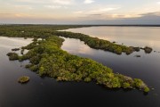 Picture taken with drone of river islands - Anavilhanas National Park  - Novo Airao city - Amazonas state (AM) - Brazil