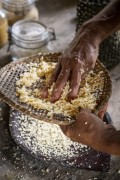 Detail of process for the production of cassava flour - Anavilhanas National Park - Novo Airao city - Amazonas state (AM) - Brazil