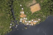 Picture taken with drone of stilt houses on the banks of Negro River - Anavilhanas National Park - Novo Airao city - Amazonas state (AM) - Brazil