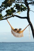 Cat resting in a hammock looking at the sea - Arpoador - Rio de Janeiro city - Rio de Janeiro state (RJ) - Brazil