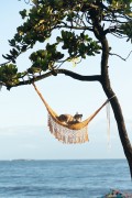 Cat resting in a hammock looking at the sea - Arpoador - Rio de Janeiro city - Rio de Janeiro state (RJ) - Brazil