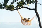 Cat resting in a hammock looking at the sea - Arpoador - Rio de Janeiro city - Rio de Janeiro state (RJ) - Brazil