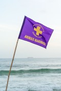 Fire Department flag indicating the presence of marine animals during the visit of the Sea lion nicknamed Joca - Rio de Janeiro city - Rio de Janeiro state (RJ) - Brazil