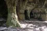Cock-of-the-rock Cave - Presidente Figueiredo city - Amazonas state (AM) - Brazil