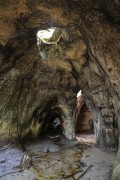 Cock-of-the-rock Cave - Presidente Figueiredo city - Amazonas state (AM) - Brazil